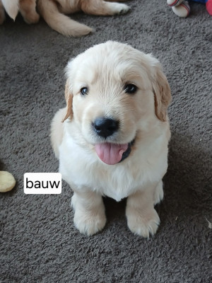 BAOUW